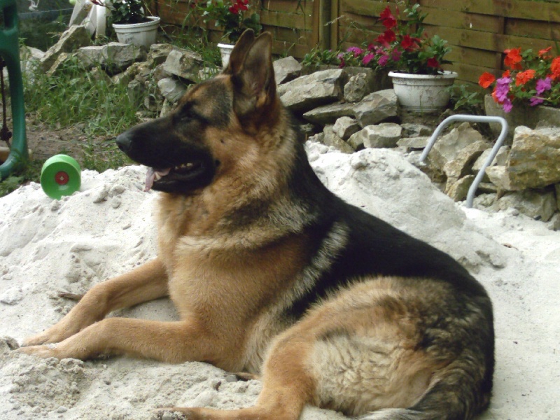 Chabal des gardiens de Molly